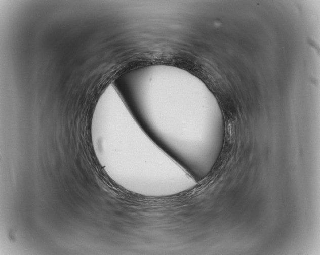 X0000099310963200805020728