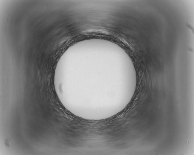 X0000099310965200805020728