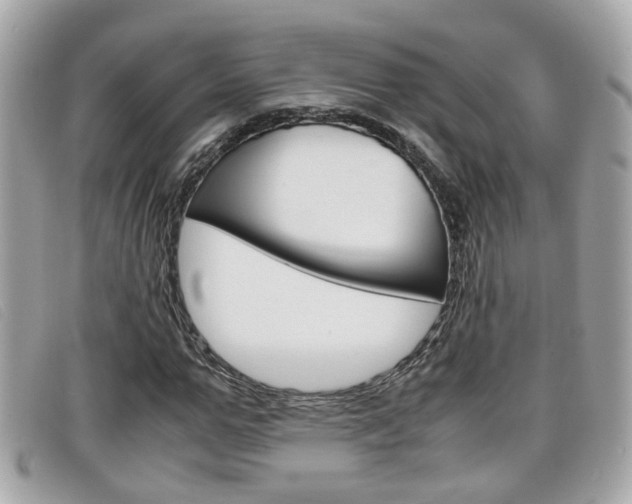 X0000099310967200805020728