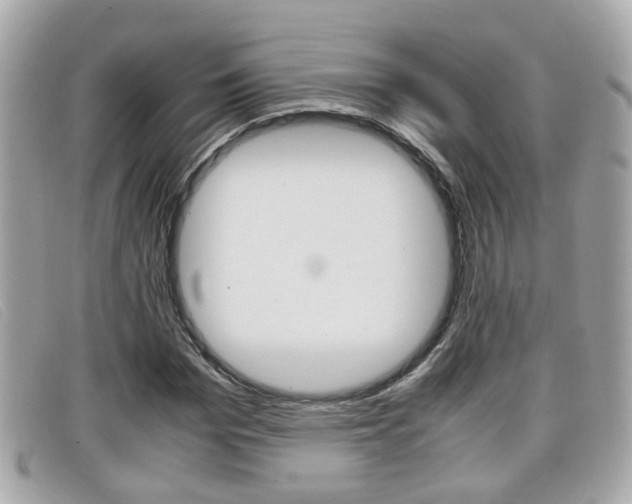 X0000099310969200805020728