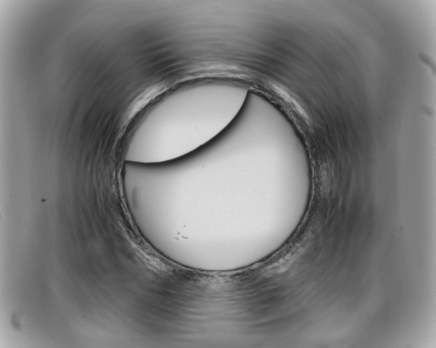 X0000099310970200805020728