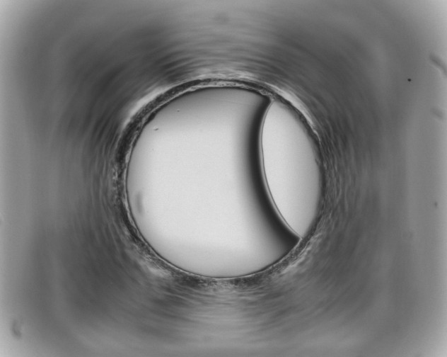 X0000099310971200805020728