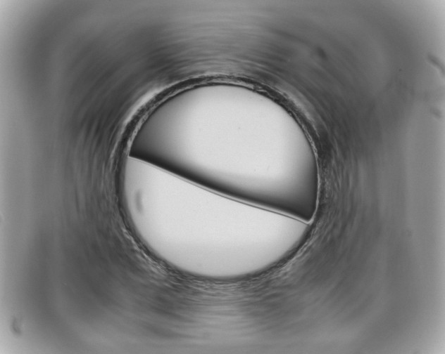 X0000099310975200805020728