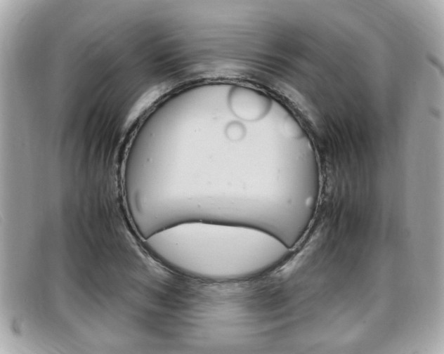 X0000099310978200805020728