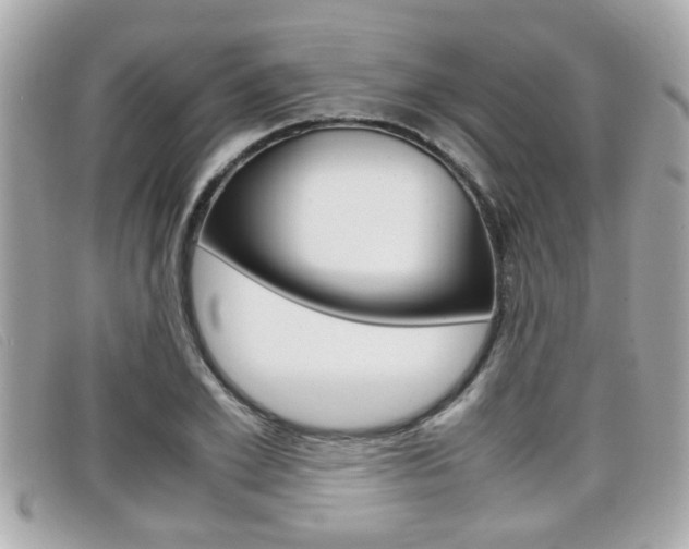 X0000099310981200805020728