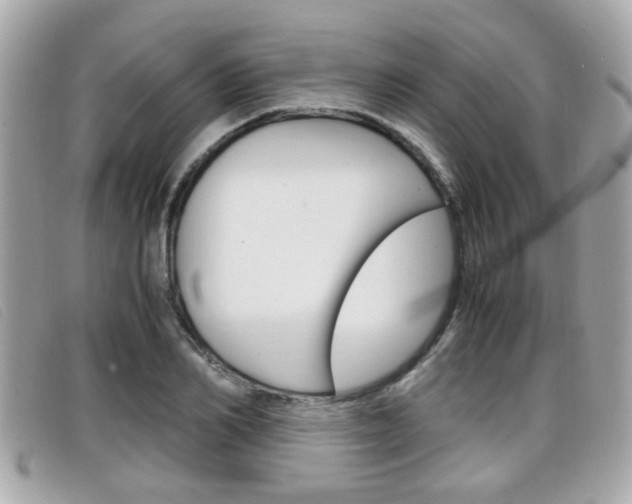 X0000099310982200805020728