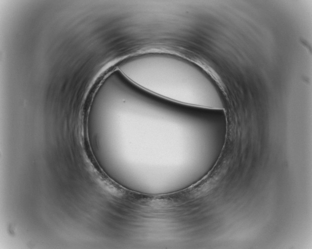 X0000099310984200805020728