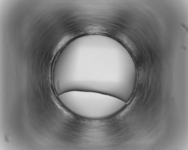 X0000099310986200805020728