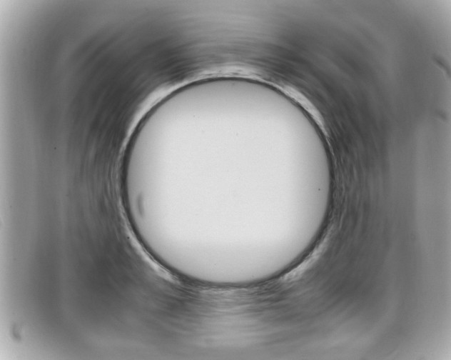 X0000099310989200805020728