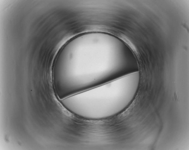 X0000099310996200805020728