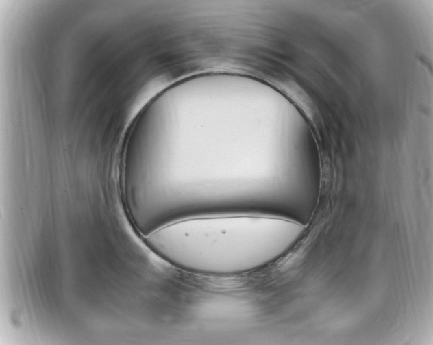 X0000099311007200805020728