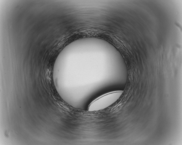 X0000099311010200805020727