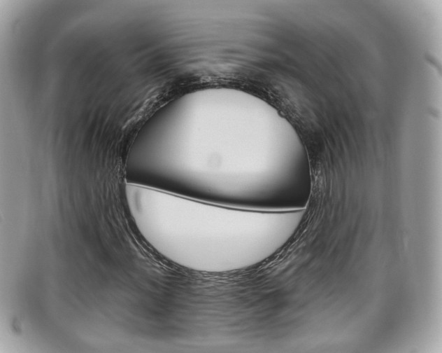 X0000099311012200805020727