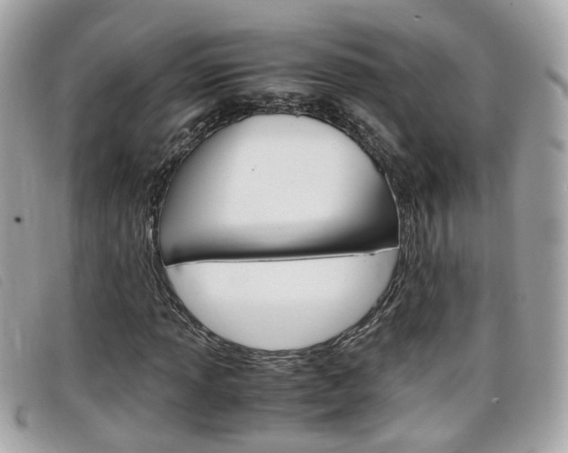 X0000099311013200805020727