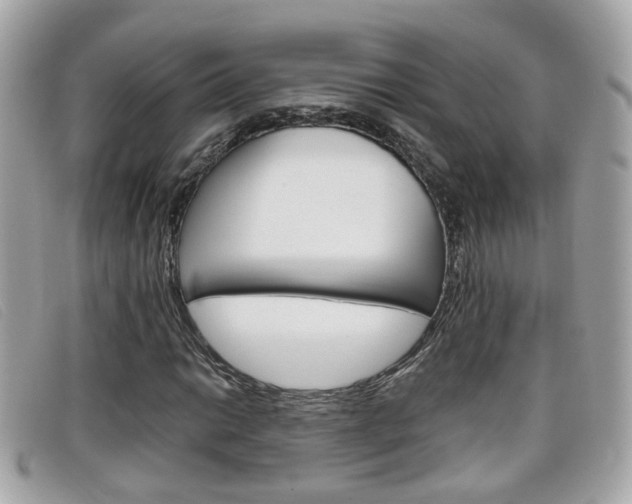 X0000099311014200805020727