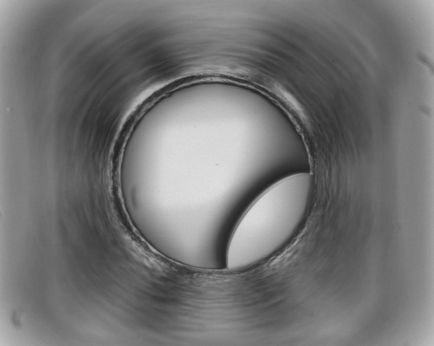X0000099311020200805020727