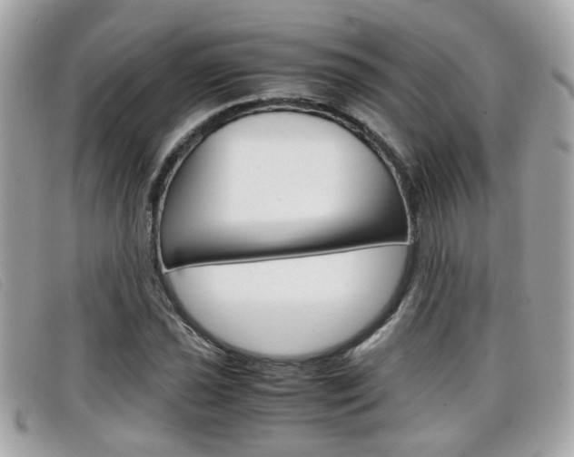 X0000099311021200805020727