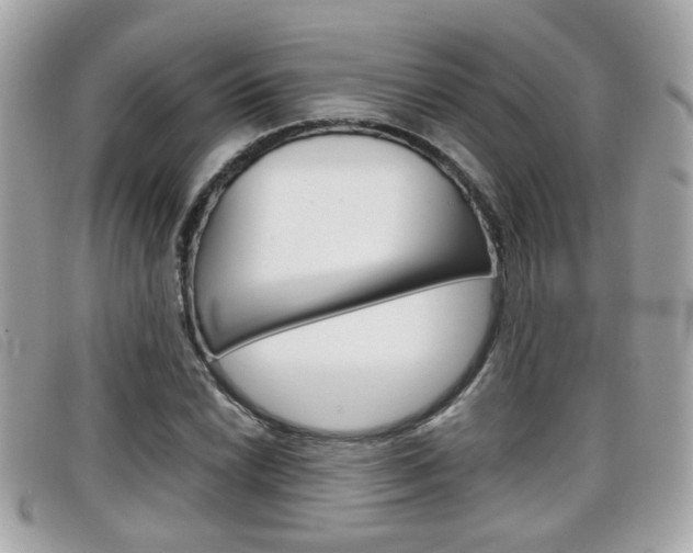 X0000099311022200805020727