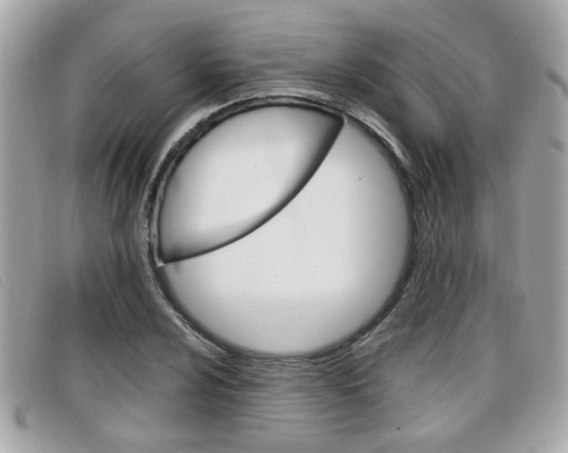 X0000099311024200805020727