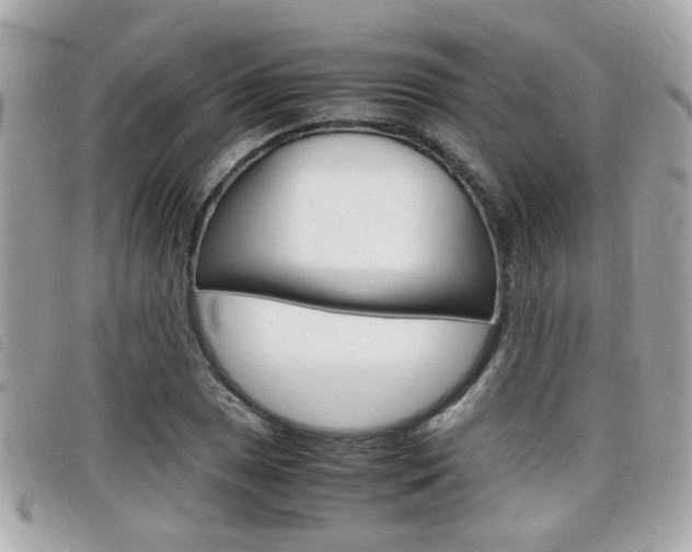 X0000099311025200805020727