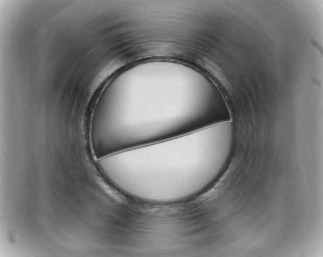 X0000099311026200805020727