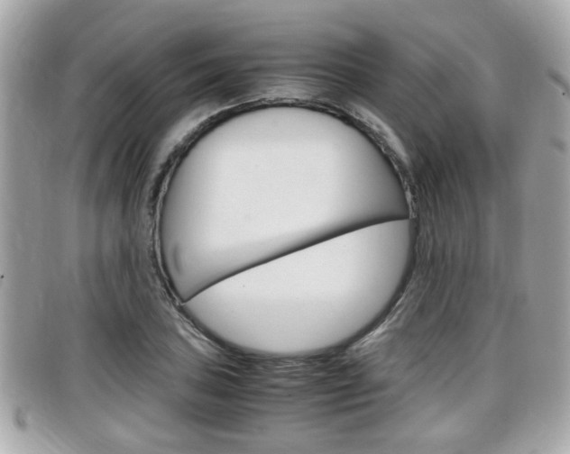 X0000099311027200805020727