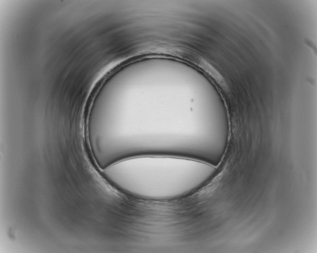 X0000099311028200805020727