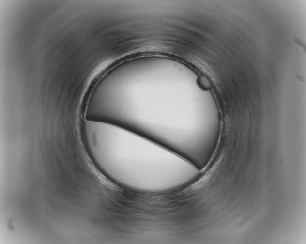 X0000099311029200805020727