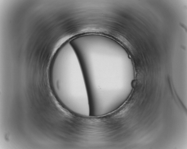 X0000099311030200805020727