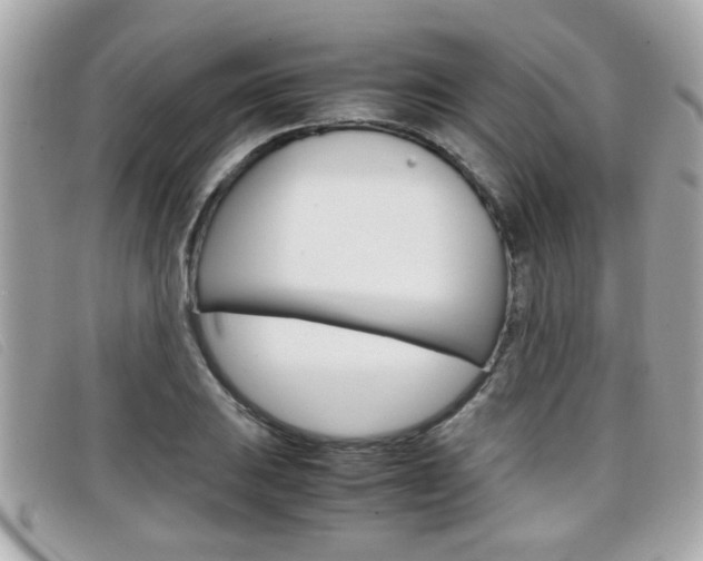 X0000099311031200805020727