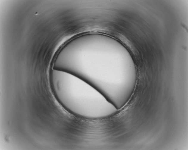 X0000099311032200805020727