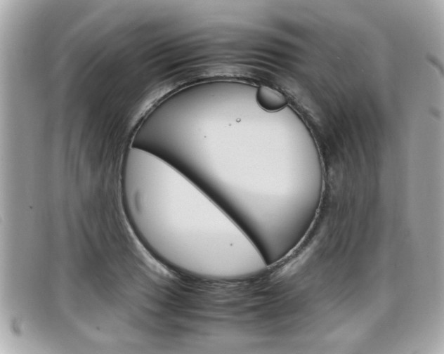 X0000099311033200805020727