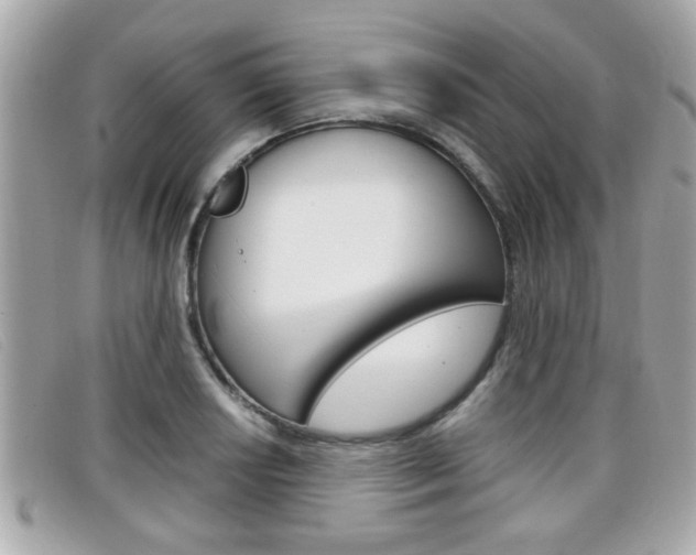 X0000099311034200805020728