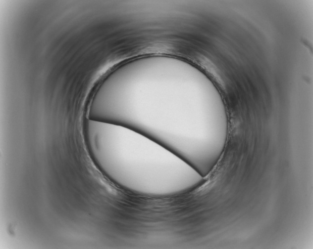 X0000099311035200805020728