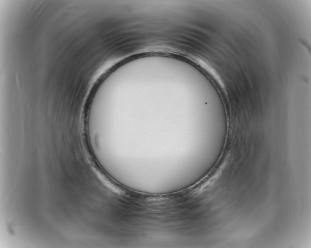 X0000099311037200805020728