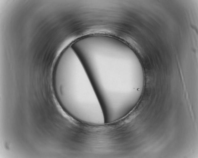X0000099311038200805020728
