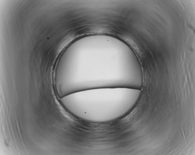 X0000099311039200805020728