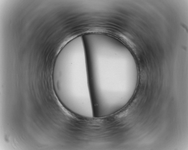 X0000099311041200805020728
