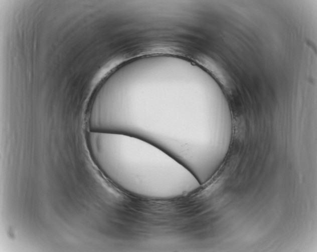 X0000099311043200805020728