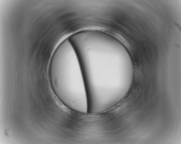 X0000099311044200805020728
