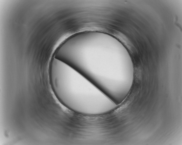 X0000099311046200805020728