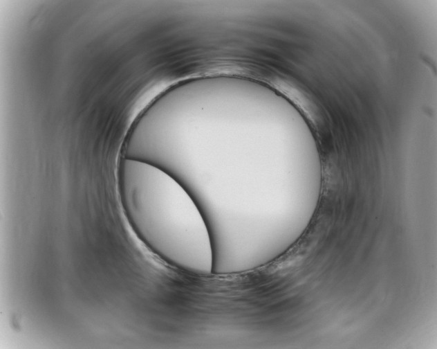 X0000099311047200805020728