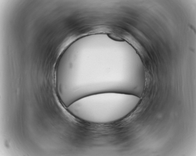 X0000099311055200805020728