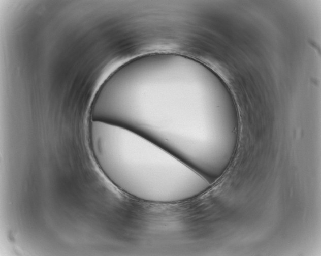 X0000099311056200805020728