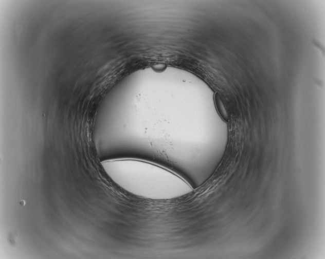 X0000099311058200805020727