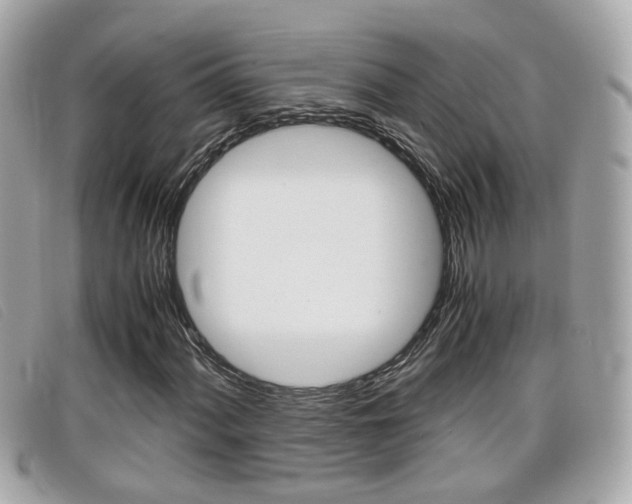 X0000099311060200805020727