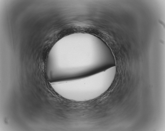 X0000099311061200805020727