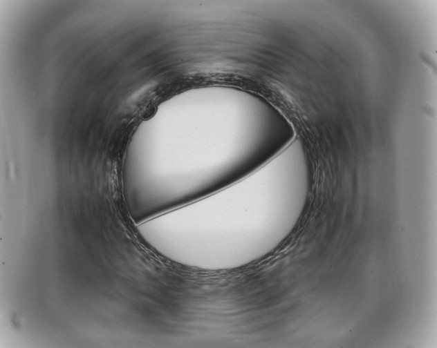 X0000099311062200805020727