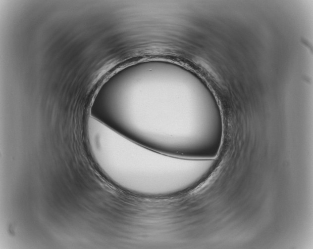 X0000099311065200805020727