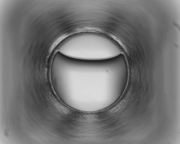X0000099311066200805020727